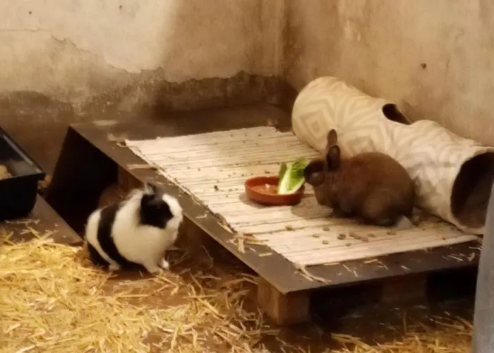 Appartement Art Land Badbergen